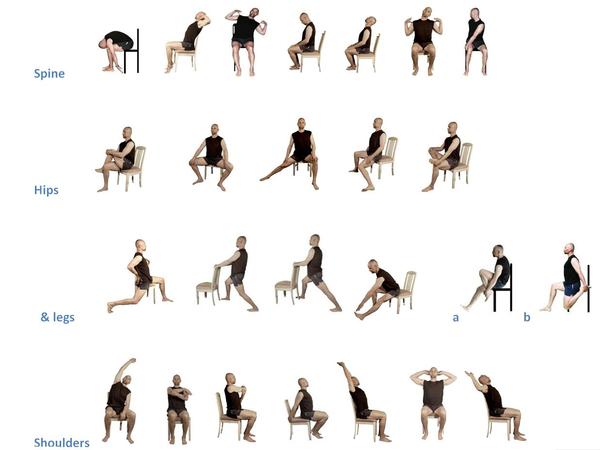 Sitting exercises  To Improve Your Mobility - ™