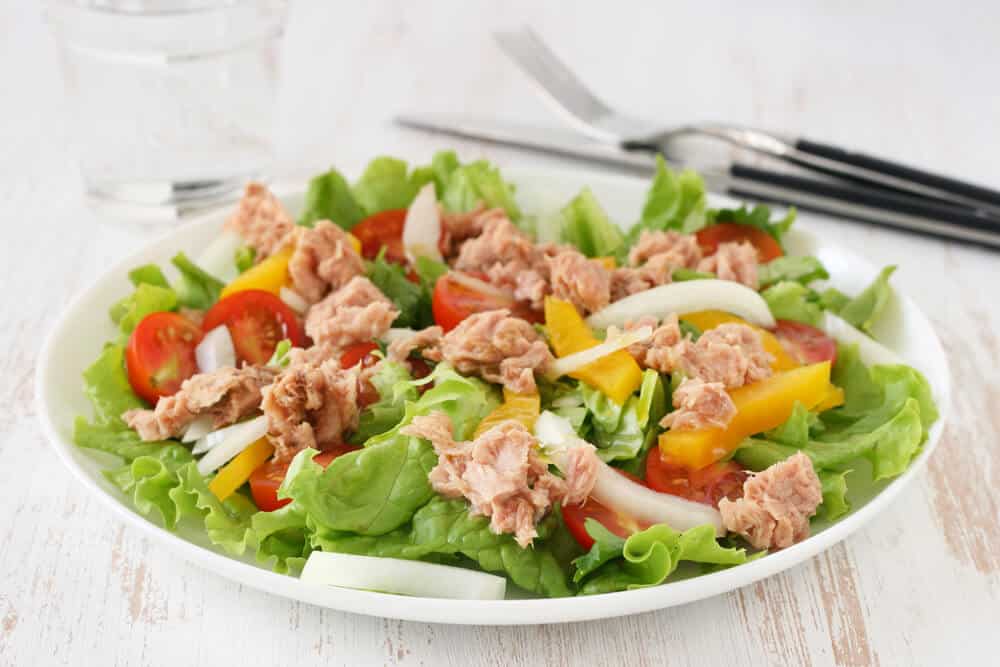 Tuna and Vegetable Salad Dish: Healthy Meal and Food